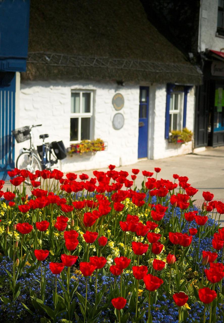 The Redbank Guesthouse Skerries Εξωτερικό φωτογραφία